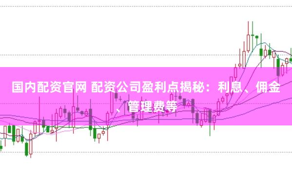 国内配资官网 配资公司盈利点揭秘：利息、佣金、管理费等