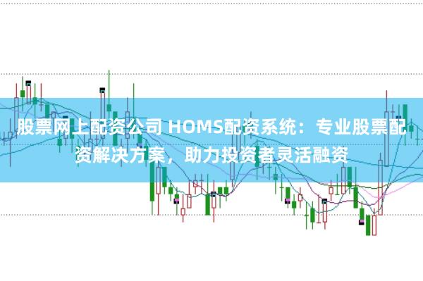 股票网上配资公司 HOMS配资系统：专业股票配资解决方案，助力投资者灵活融资