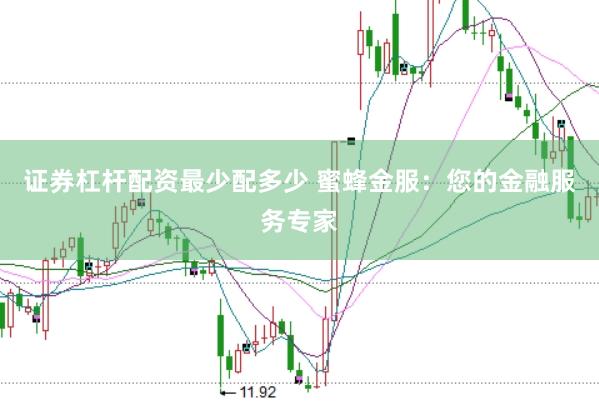 证券杠杆配资最少配多少 蜜蜂金服：您的金融服务专家