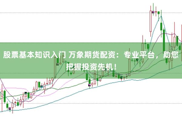 股票基本知识入门 万象期货配资：专业平台，助您把握投资先机！
