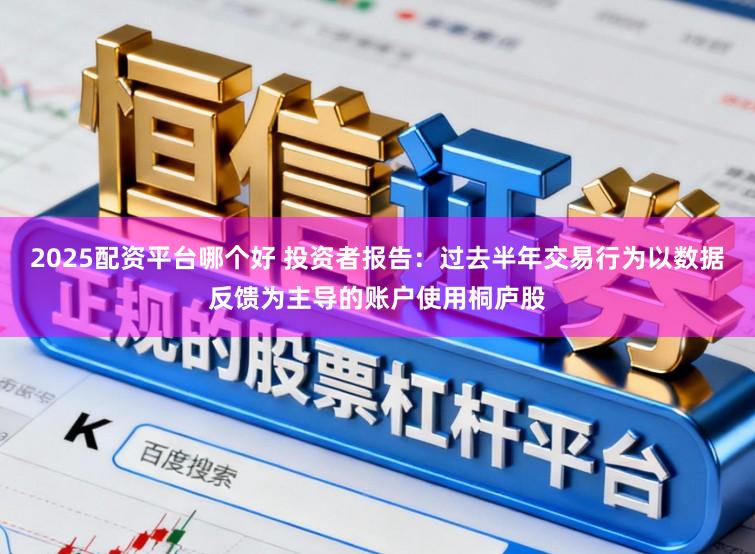 2025配资平台哪个好 投资者报告：过去半年交易行为以数据反馈为主导的账户使用桐庐股
