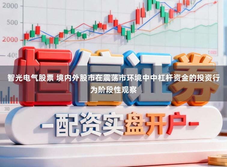 智光电气股票 境内外股市在震荡市环境中中杠杆资金的投资行为阶段性观察