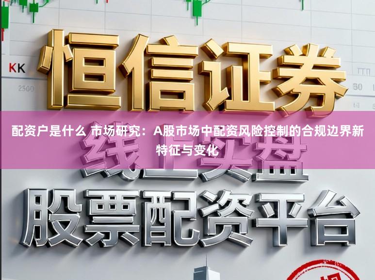 配资户是什么 市场研究：A股市场中配资风险控制的合规边界新特征与变化